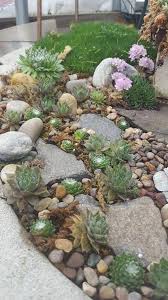 Find dazzling ideas and rock garden photos in this article. Pathway Made With Hens Chicks And Rocks Easy To Do Landscapingwithrocks Succulent Landscape Design Rock Garden Landscaping Rock Garden