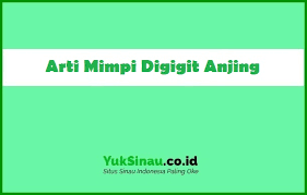 Jadi, jika menemukan anjing yang berkelahi dalam mimpi, ini bisa menjadi pertanda bahwa anda merasa jadi, sebagian besar hal yang dilambangkan anjing yang muncul dalam mimpi adalah hal yang hal itu ditandai dengan adanya kesiapan diri untuk terbuka kepada orang baru dan berusaha. 12 Arti Mimpi Digigit Anjing Menurut Primbon Dan Psikolog