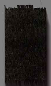 Image result for Siphonochilus parvus