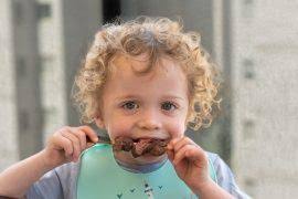 Introducing Tyrannosaurus mcraeensis, T. Rex's closest relative