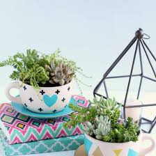 Maybe you would like to learn more about one of these? Succulent Teacup Planter Fun365