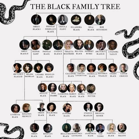 Árbol genealógico de la familia Black