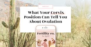 Image result for cervix position