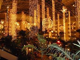 Pin On Christmas Lights And Decor