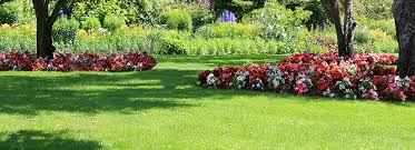 Carpet types differ depending on the product's number of stitches, yarn type, dimensions, function, color, and durability. Lawn Care Grass That Grows In Full Shade Bioadvanced