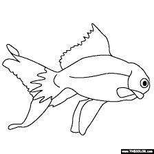 With opportunities to read, count, and draw, fish coloring. Gold Fish Coloring Page