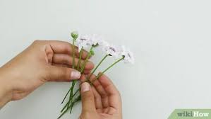 After she carefully climbs up the plant to reach him, she accepts his gift and the pair form an almost perfect heart shape. 5 Ways To Dry Flowers Wikihow