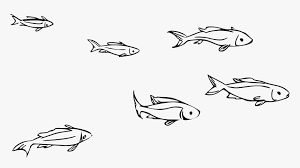Fish black and white clipart. Big Image Small Fish Clipart Black And White Hd Png Download Kindpng