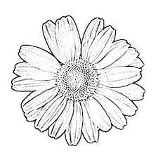 Pin On Digital Black And White