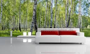 Fototapete Birkenwald Saftige Grune Waldlandschaft Als Wanddekoration Im Wohnzimmer Baume Wiese Wald Passende M Fototapete Tapeten Wohnzimmerdekoration