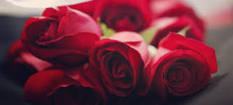 Florist delivery the same day! Vacation Packages Romantic Getaways In Omaha Nebraska