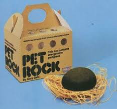 Fads Of The 70 S Pet Rocks Vintage Toys 1970s Childhood