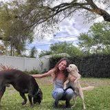 Welcome to all pet care hospital. Top 10 Pet Care Providers In Clearwater Starting At 11 75 Hr Care Com