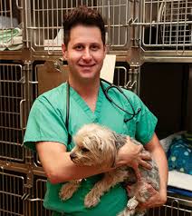 College grad veterinary gifts near me. Mu S College Of Veterinary Medicine Offers Online Master S Degree Program