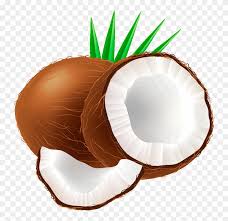 Maybe you would like to learn more about one of these? Coconut Clipart Coconut Fruit Clipart Png Download 204396 Pinclipart