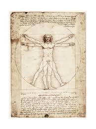 Résultat de recherche d'images pour "vitruvian man"