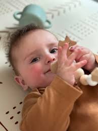 Nick Reilly (@nickreilly7) • Instagram photos and videos