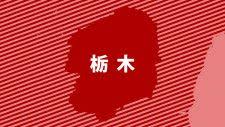 ｄメニューニュース - News update
