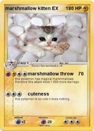 8 week old ball of fluff kittens from siberian mum. Best Of Fluffy Marshmallow Fluffy Kittens Images Images