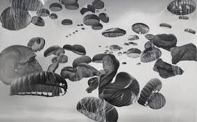 Bildergebnis für Anthony Goicolea