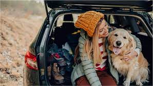 The bank will determine the interest rate you are eligible for based on multiple factors, some of which have been mentioned below Auto Loans And Car Financing Options