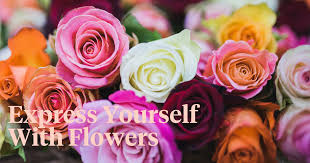 We did not find results for: Different Colors Of Roses And Their Meaning Article On Thursd