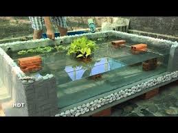 Make Fish Tank With 2 Styrofoam Box Oscar Fish Lam Hồ Ca Ghep 2 Thung Xốp Tai Tượng Chau Phi Youtube In 2020 Pond Design Fish Tank Fountains