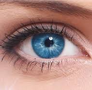 Photos, address, and phone number, opening hours, photos, and user reviews on yandex.maps. Williamson Allemond Regional Eye Center Home