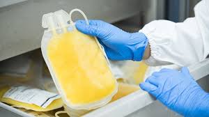 Image result for Plasma Transfusion