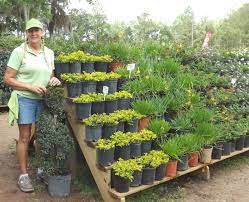 You Might Be A Top Notch Gardener But If You Start To Teach Children About Plan Childr Garden Center Displays Garden Projects Garden Center Ideas