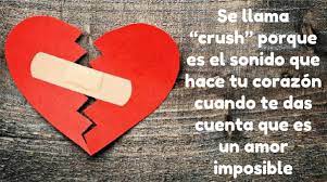1.) crush — someone who is the object of affection or infatuation; Que Es Crush Significado Y Definicion Agorafs Com