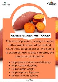 نتیجه جستجوی لغت [fleshed] در گوگل