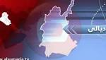 عاااجل بيطرة ديالى تعلن إعدام