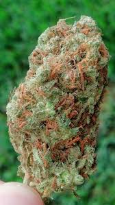 Pin On News Reviews And More