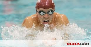 Tiburón zacatecano con pecho de plata