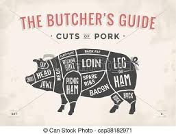 Cut Of Meat Set Poster Butcher Diagram Scheme And Guide Pork Vintage Typographic Hand Drawn Vector Illustration