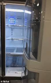 Unless they're those stupid protein smoothies with khal. Tiktok Users Show Off 3 500 Rich People Fridge In New Viral Trend Daily Mail Online