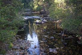 The population was 7,812 at the 2010 census, down from 8,023 at th. River Gold Panning The Cosumnes Rock Gem Magazine