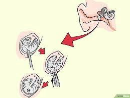 How To Unclog The Inner Ear Or Eustachian Tube Verstopte Oren Oren Neusverstopping