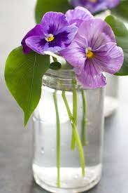 Holiday With Matthew Mead Shades Of Easter Small Flower Arrangements Purple Flowers Beautiful Flowers