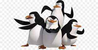 madagaskar 2 madagascar escape 2 africa alex marty melman gloria penguenler ve kral julien madagascar sinema animasyon filmler
