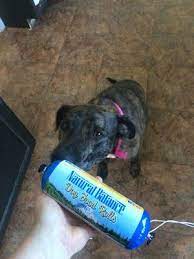Natural Balance Dog Food Review Dog Food Reviews Natural Balance Dog Food Dog Food Recipes