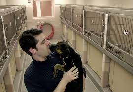 Detailed directions to our new center are on the upcoming events page. Ohio Pet Placement In Lorain County Forced To Close 55 Pets Removed Animals In The News Cleveland Com