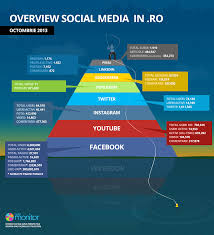 Social Media In Romania Social Media Infographic Social