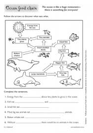 Free Downloads R I C Publications Food Chain Worksheet Food Chain Activities Ocean Food Chain