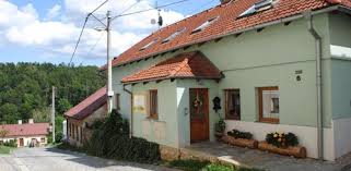 Image result for puklice