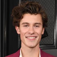 Shawn mendes & camila cabello: Shawn Mendes Reveals New Collaboration With Justin Bieber Monster