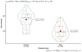 Image result for Pachylobus osika