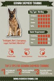 German Shepherd Dog Dog Breed Information German Shepherd