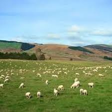 تفسير رؤية حلم الثوب الأخضر في المنام للعصيمي natural landmarks nature travel